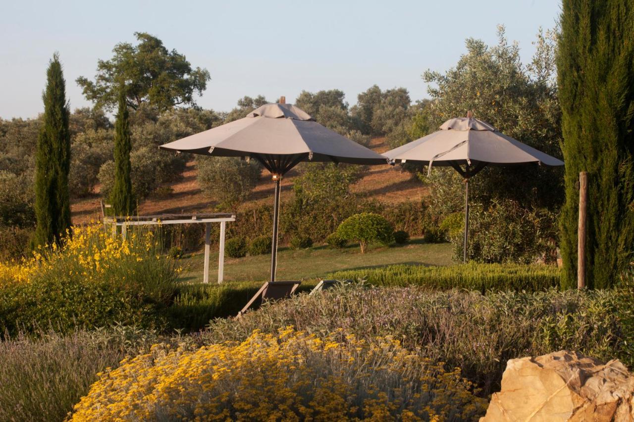 Casale Sterpeti Bed & Breakfast Magliano in Toscana Exterior foto