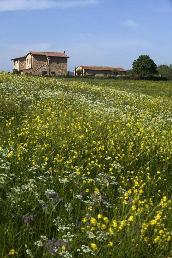 Casale Sterpeti Bed & Breakfast Magliano in Toscana Exterior foto