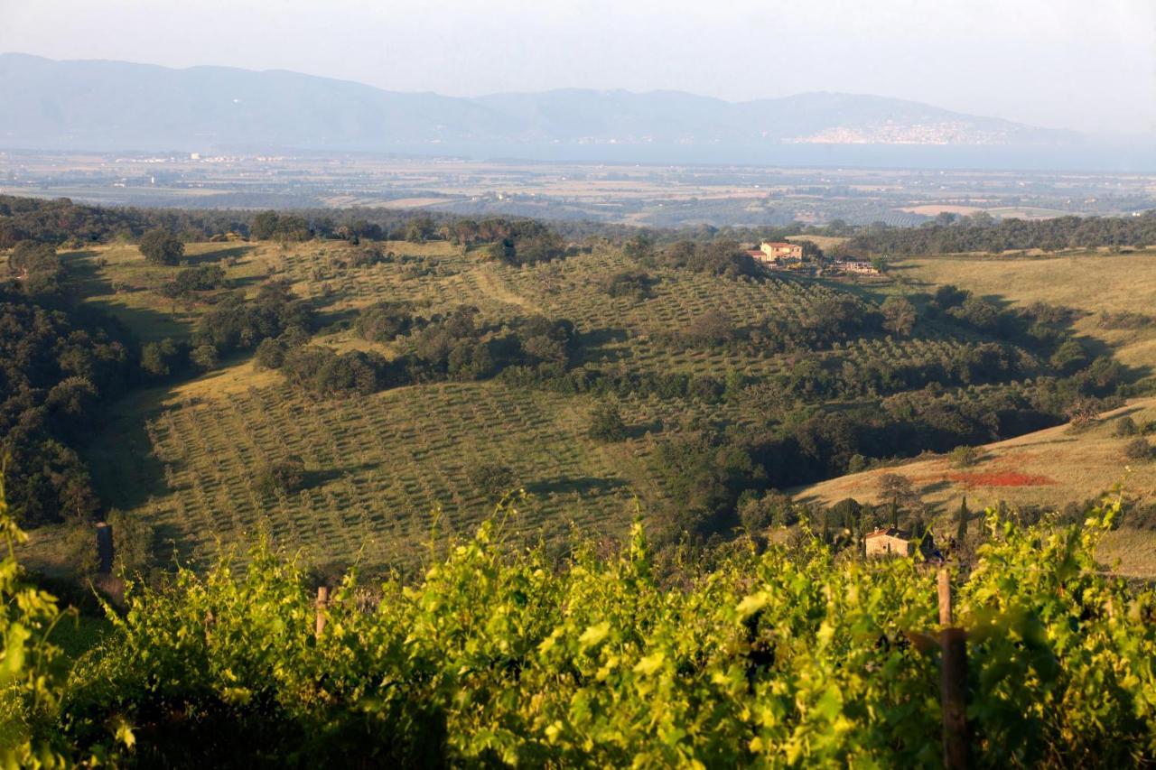 Casale Sterpeti Bed & Breakfast Magliano in Toscana Exterior foto